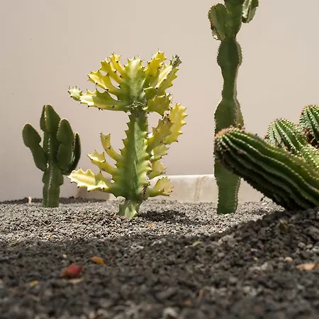 Villa Villas Salinas Costa Teguise